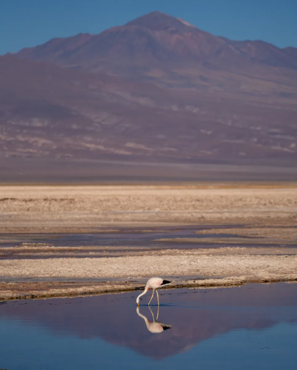 Landscapes photograph — Chile, Atacama