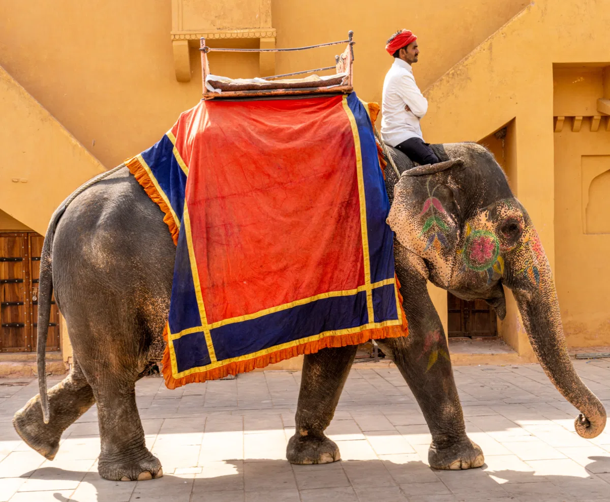 People & Culture photograph — India, Jaipur