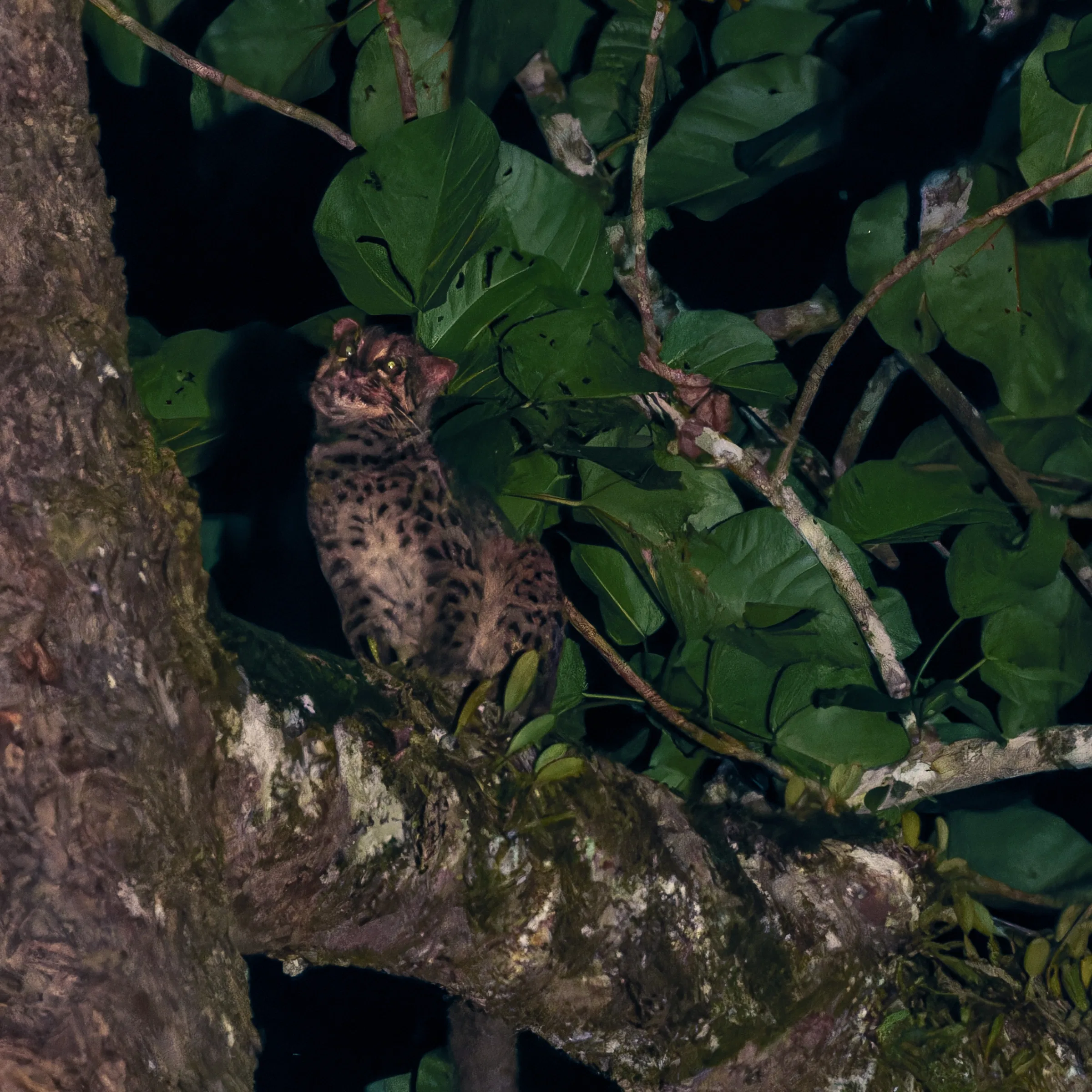 Photograph 309